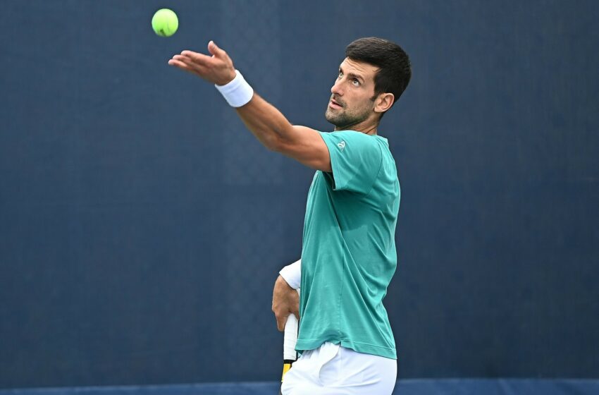  Novak Djokovic Pulls Out Of Australian Open