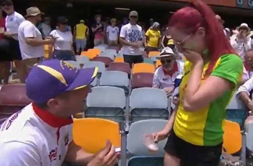  Ashes 2021: Aussie Fan Proposes Girlfriend During 1st Test At Gabba