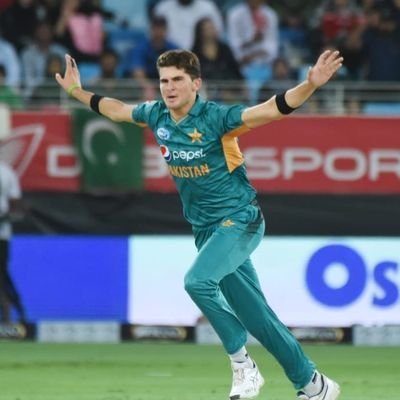Shaheen Shan Afridi wins ICC Men’s Cricketer of the year