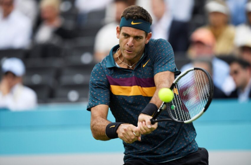  During the match, Juan Martin del Potro was unable to hold back his tears.