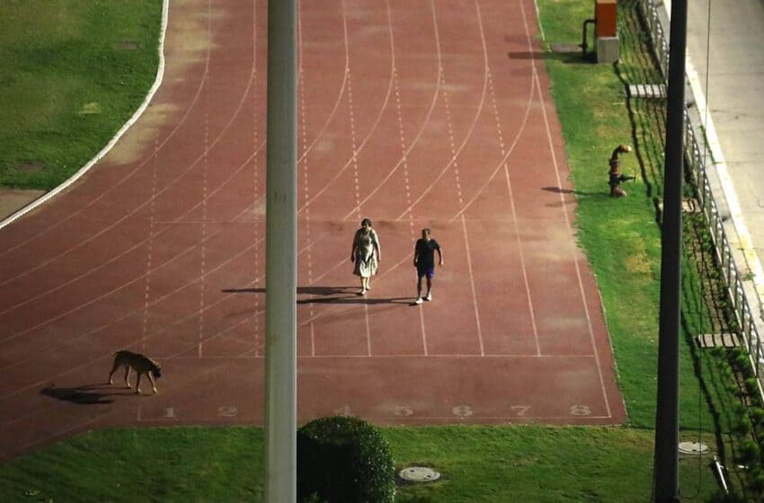 IAS officer walks with his dog in evening, empties stadium
