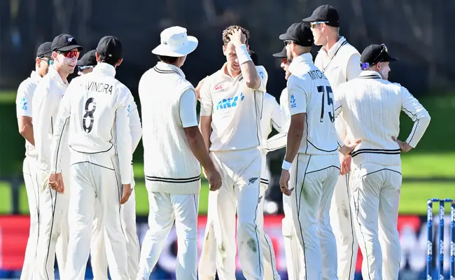  New Zealand lock in World Test Championship dates as summer of cricket announced